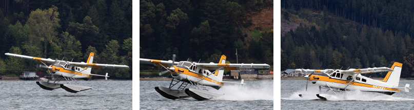 Kenmore Air Landing: photos by Alex Kwanten