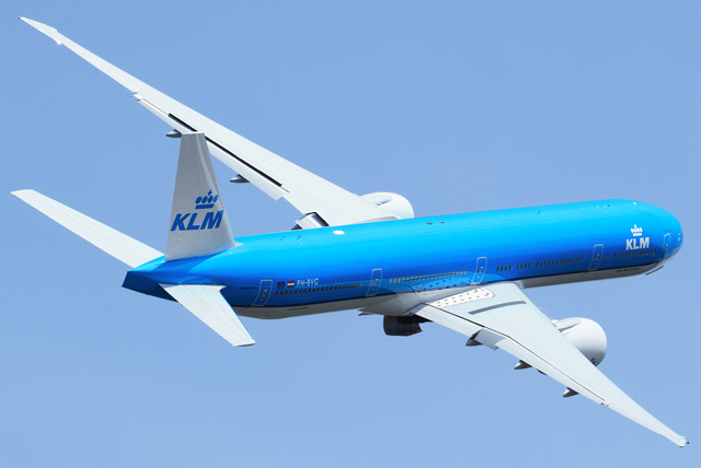 Delftblue Dreaming
