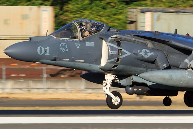 Fighting 311th Harrier
