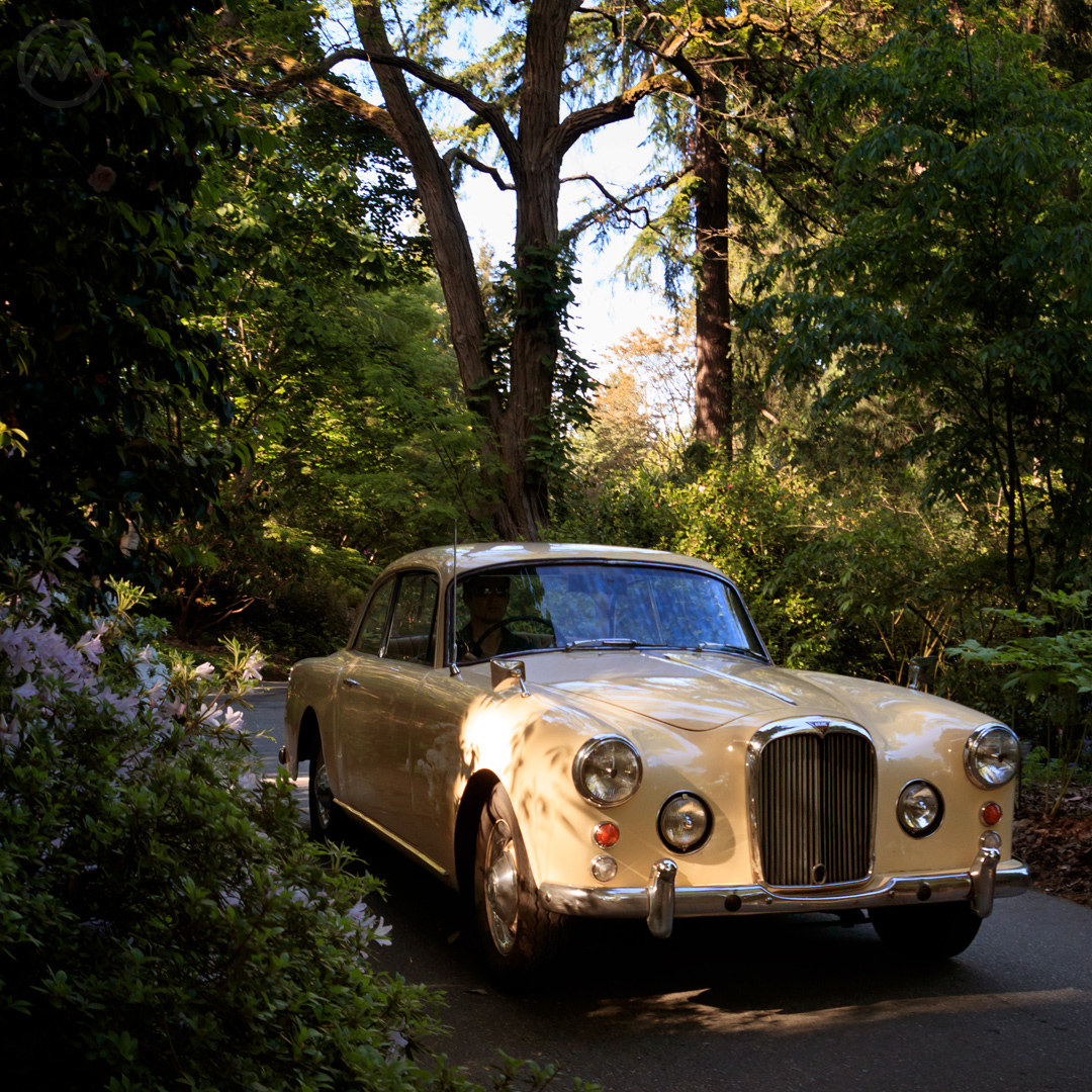 Alvis TE21